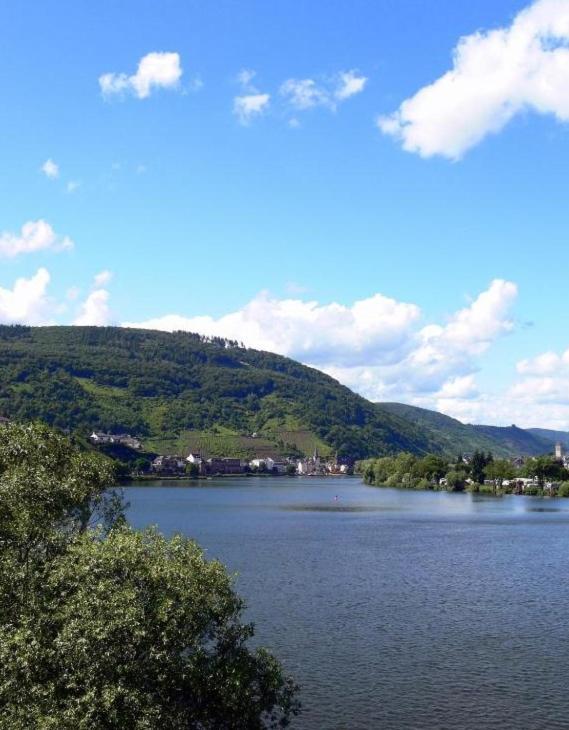 Panorama-Cafe Moselgarten Alf Exteriér fotografie