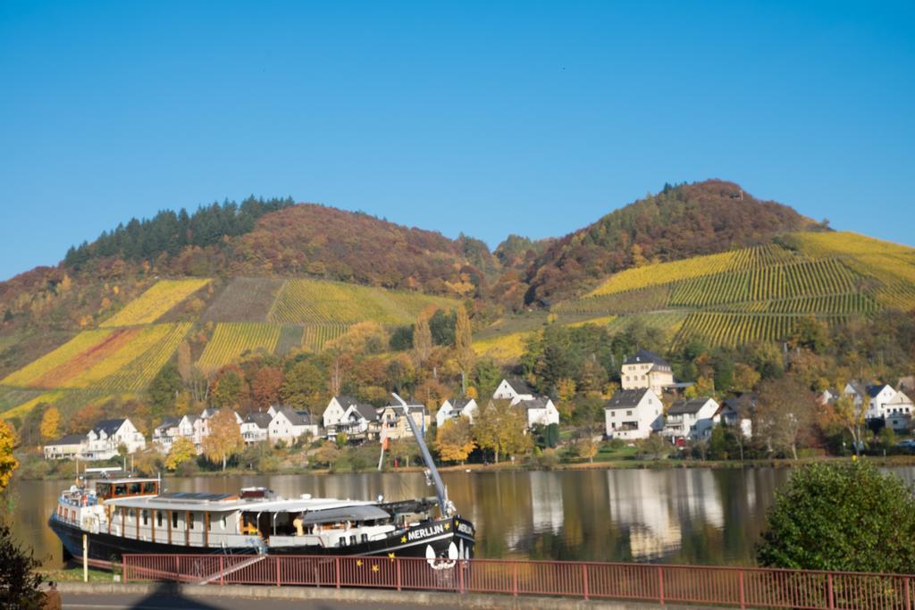 Panorama-Cafe Moselgarten Alf Exteriér fotografie